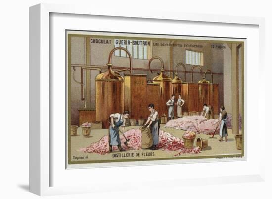 Flower Distillery-null-Framed Giclee Print