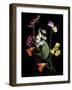 Flower Drama I-Judy Stalus-Framed Photographic Print