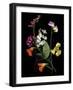 Flower Drama I-Judy Stalus-Framed Photographic Print