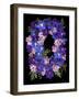 Flower Drama II-Judy Stalus-Framed Photographic Print