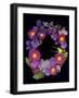 Flower Drama III-Judy Stalus-Framed Photographic Print