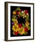 Flower Drama IX-Judy Stalus-Framed Photographic Print