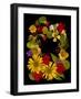 Flower Drama IX-Judy Stalus-Framed Photographic Print