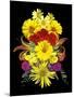 Flower Drama V-Judy Stalus-Mounted Photographic Print