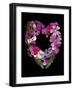 Flower Drama VI-Judy Stalus-Framed Photographic Print