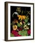 Flower Drama VII-Judy Stalus-Framed Photographic Print