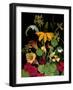 Flower Drama VII-Judy Stalus-Framed Photographic Print