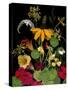 Flower Drama VII-Judy Stalus-Stretched Canvas