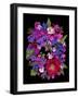 Flower Drama VIII-Judy Stalus-Framed Photographic Print