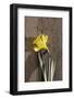 Flower, Drop of Water, Woodwork Table-Nikky Maier-Framed Photographic Print