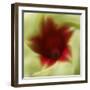 Flower Edible-Dana Brett Munach-Framed Giclee Print