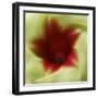 Flower Edible-Dana Brett Munach-Framed Giclee Print