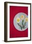 Flower Eggs-Sarah Saratonina-Framed Giclee Print