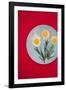 Flower eggs-Sarah Saratonina-Framed Photographic Print