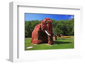 Flower Elephant in Maximilianpark, Hamm, North Rhine-Westphalia, Germany-null-Framed Premium Giclee Print