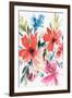 Flower Explosion II-Isabelle Z-Framed Art Print