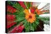 Flower explosion-Heidi Westum-Stretched Canvas