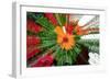 Flower explosion-Heidi Westum-Framed Photographic Print