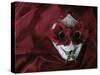 Flower Eyes Mask-Patricia Dymer-Stretched Canvas