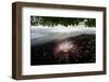 Flower fallen on black lava sand beach, Indonesia-Nick Garbutt-Framed Photographic Print