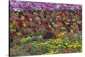 Flower Farm, Furano, Hokkaido Prefecture, Japan-Keren Su-Stretched Canvas