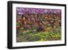 Flower Farm, Furano, Hokkaido Prefecture, Japan-Keren Su-Framed Photographic Print