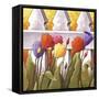 Flower Fence 1-Cathy Horvath-Buchanan-Framed Stretched Canvas