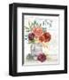 Flower Fest VI-Mary Urban-Framed Art Print