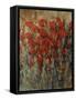 Flower Field II-Tim O'toole-Framed Stretched Canvas