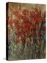 Flower Field II-Tim O'toole-Stretched Canvas