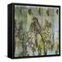 Flower Field II-Jennifer Goldberger-Framed Stretched Canvas