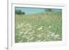 Flower Field Landscape-null-Framed Photographic Print