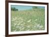 Flower Field Landscape-null-Framed Photographic Print