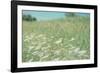 Flower Field Landscape-null-Framed Photographic Print