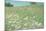 Flower Field Landscape-null-Mounted Photographic Print