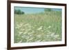 Flower Field Landscape-null-Framed Photographic Print