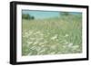 Flower Field Landscape-null-Framed Photographic Print