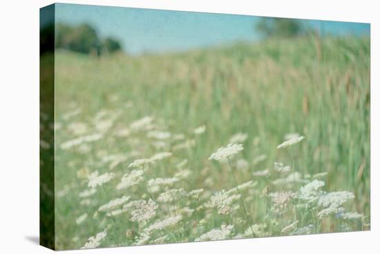 Flower Field Landscape-null-Stretched Canvas