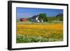 Flower Field with Farmhouse in Fredvang, Moskenesoya Island, Lofoten Islands, Norway-null-Framed Art Print