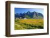 Flower Field with Farmhouse on Flakstadpollen Mountain Range, Flakstadoya Island, Norway-null-Framed Art Print