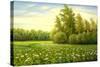 Flower Field With Trees And Bushes-balaikin2009-Stretched Canvas
