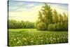 Flower Field With Trees And Bushes-balaikin2009-Stretched Canvas