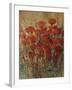 Flower Fields I-Tim O'toole-Framed Giclee Print