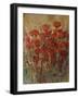 Flower Fields I-Tim O'toole-Framed Giclee Print