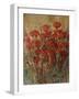 Flower Fields I-Tim O'toole-Framed Giclee Print