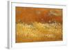 Flower Fields II-Lanie Loreth-Framed Art Print