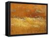 Flower Fields II-Lanie Loreth-Framed Stretched Canvas