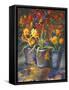 Flower Fiesta-Nanette Oleson-Framed Stretched Canvas