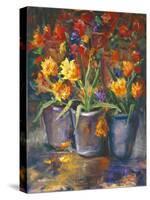 Flower Fiesta-Nanette Oleson-Stretched Canvas