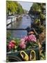 Flower Filled Cart with Houseboats and Canal, Amsterdam, North Holland, the Netherlands-Tom Haseltine-Mounted Photographic Print